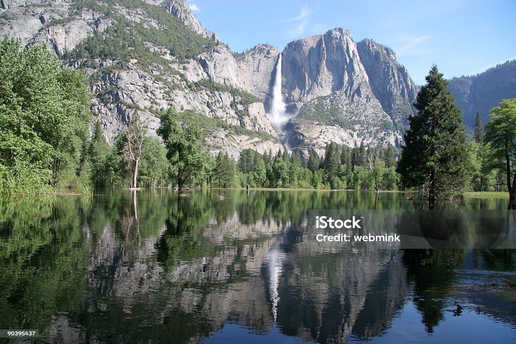 Refleja la belleza - Foto de stock de Agua libre de derechos