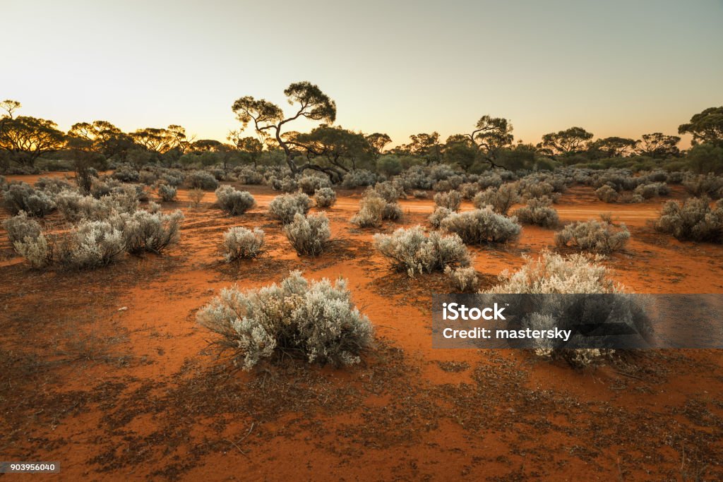 South Australian outback paysage au coucher du soleil - Photo de Australie libre de droits