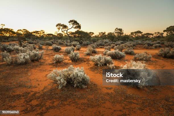 Photo libre de droit de South Australian Outback Paysage Au Coucher Du Soleil banque d'images et plus d'images libres de droit de Australie