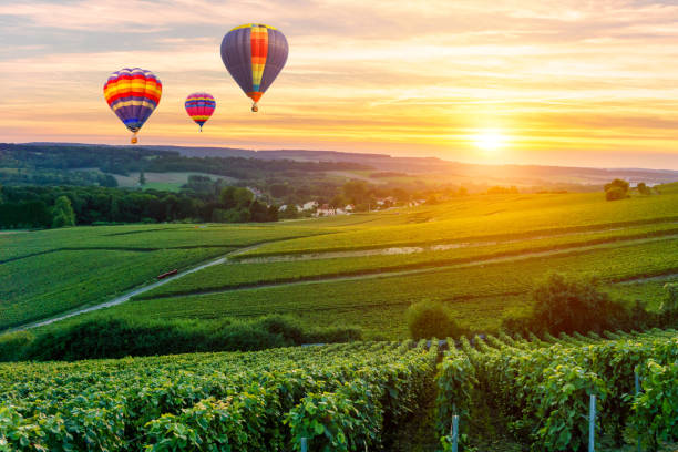 colorful hot air balloons flying over champagne vineyards at sunset montagne de reims - montagne sol imagens e fotografias de stock