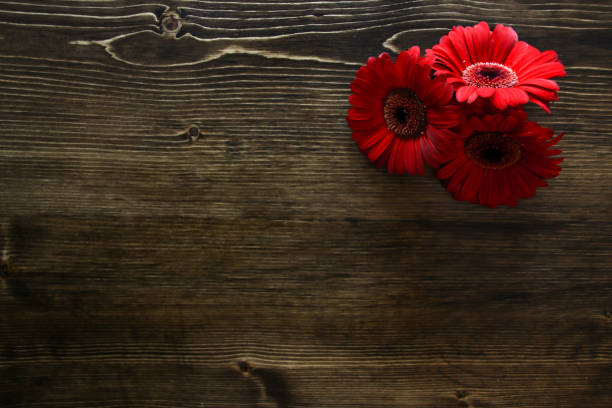 istock Valentines Flowers on Wood Background 903963792