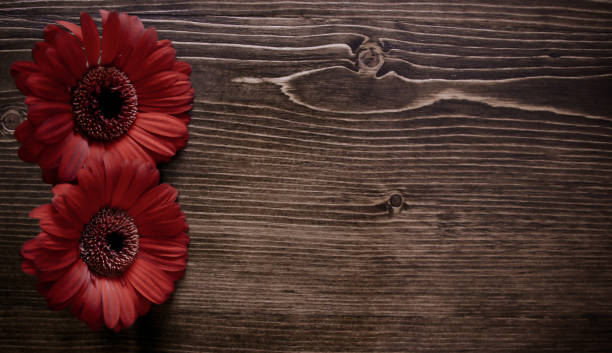 istock Valentines Flowers on Wood Background 903963872