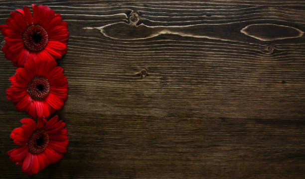 istock Valentines Flowers on Wood Background 903964008
