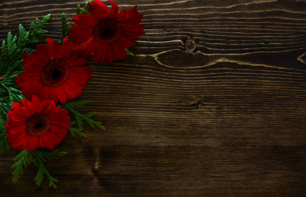 istock Valentines Flowers on Wood Background 903964170