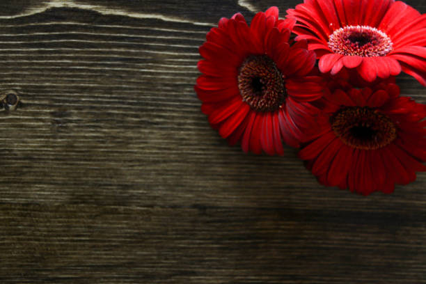 Valentines Flowers on Wood Background