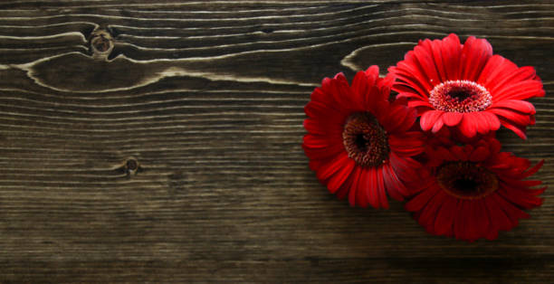 istock Mother's Day Flowers on Wood Background 903964576