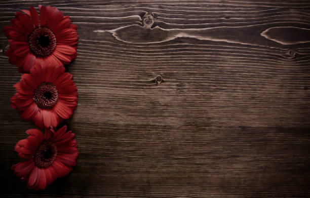 istock Mother's Day Flowers on Wood Background 903964686