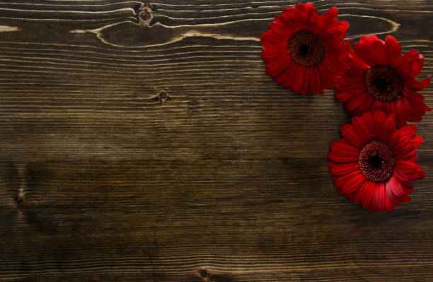 istock Mother's Day Flowers on Wood Background 903964832