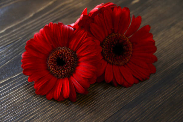 istock Mother's Day Flowers on Wood Background 903965224