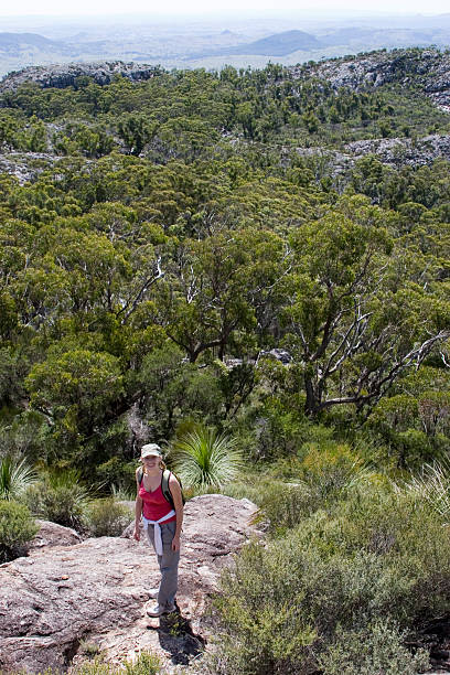 young woman climbing Mt Maroon 3 stock photo