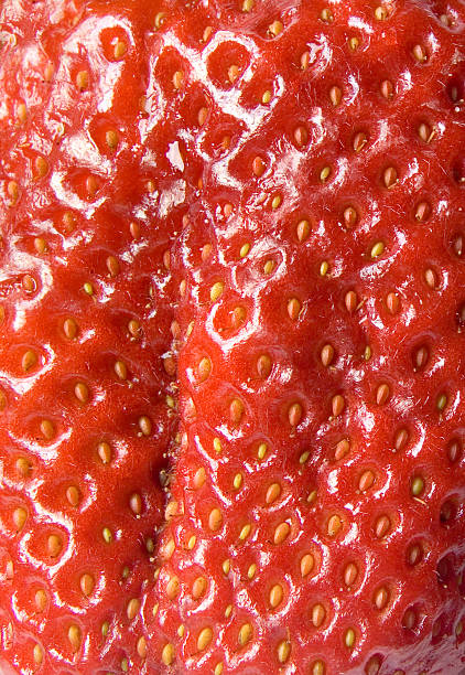 Strawberry background Strawberry background. Extreme closeup of strawberry cerial stock pictures, royalty-free photos & images