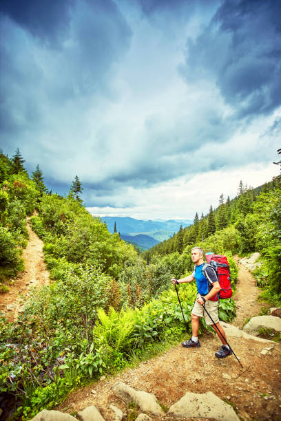 istock Hiking in the mountains in the summer with a backpack. 903972934