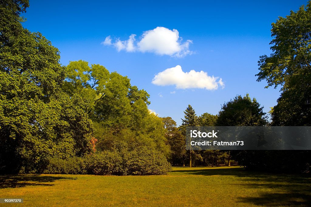 Paysage d'été - Photo de Arbre libre de droits