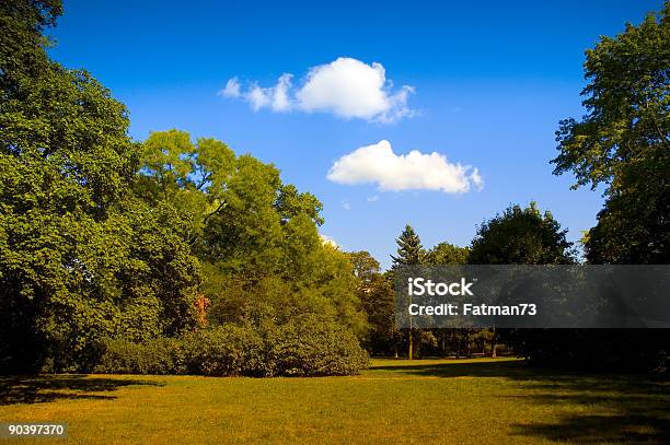 Photo libre de droit de Paysage Dété banque d'images et plus d'images libres de droit de Arbre - Arbre, Beauté, Bleu