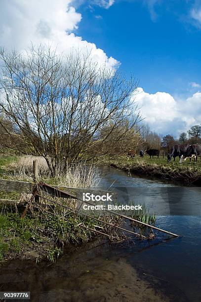 Sielskie Scena - zdjęcia stockowe i więcej obrazów Anglia - Anglia, Bez ludzi, Brama