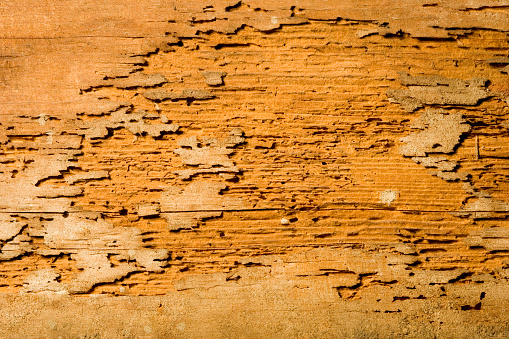Damaged wood detail.