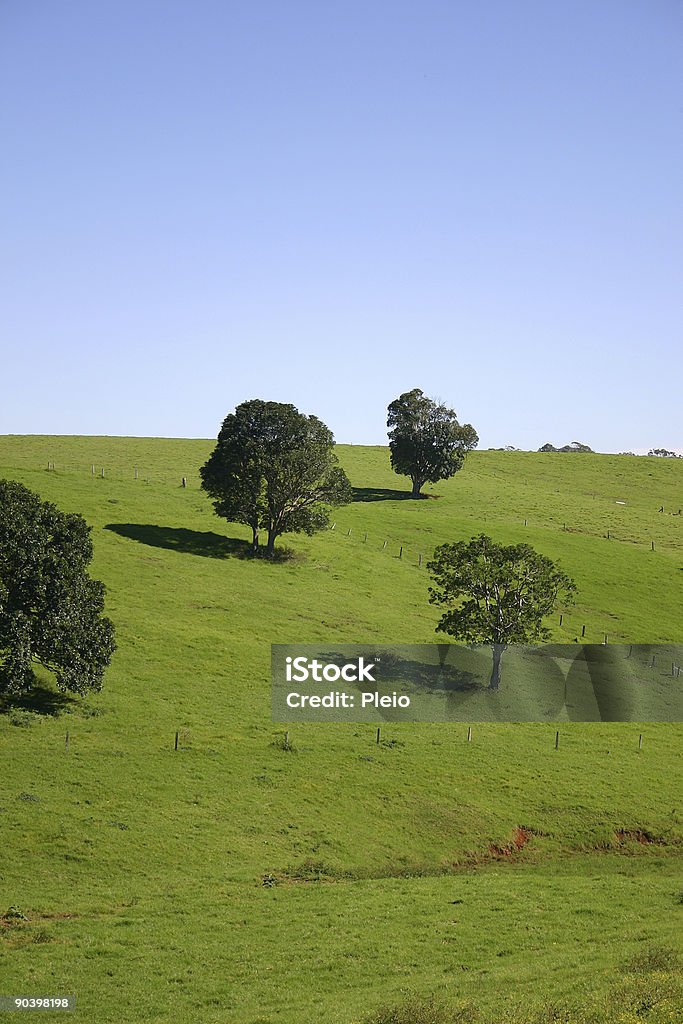 green hill Viehweide blue sky - Lizenzfrei Alles hinter sich lassen Stock-Foto