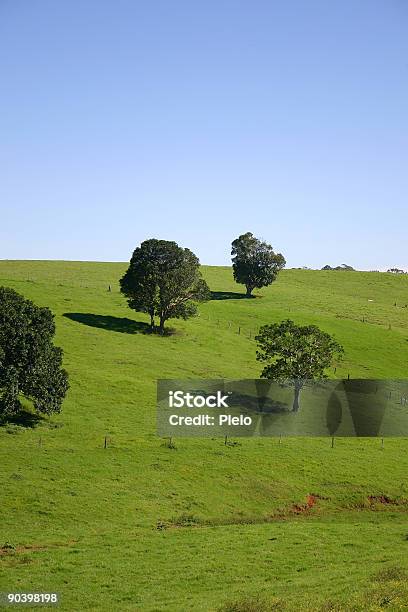 Green Hill Viehweide Blue Sky Stockfoto und mehr Bilder von Alles hinter sich lassen - Alles hinter sich lassen, Anhöhe, Australien