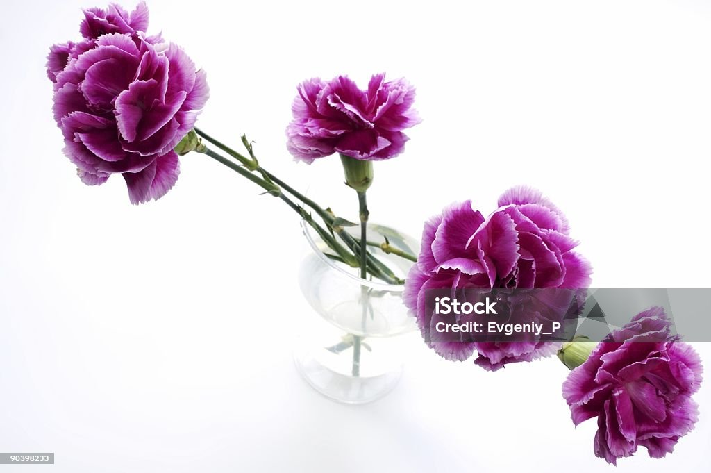 Blumen im Glas - Lizenzfrei Baumblüte Stock-Foto