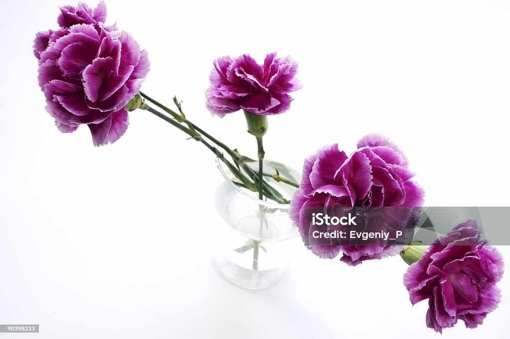 Flores en el vidrio - Foto de stock de Agua libre de derechos