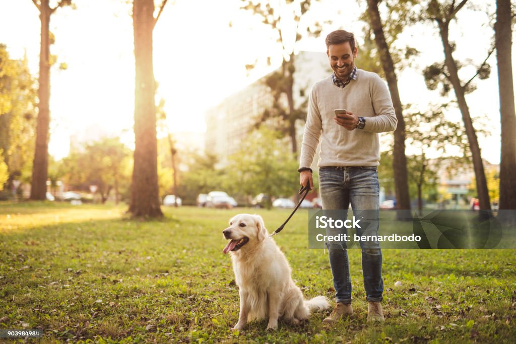 Walking the dog Handsome man walking his dog while texting outdoors. Men Stock Photo