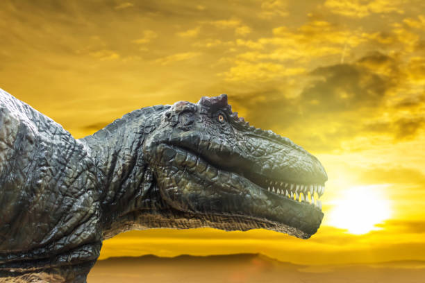 istock Tyrannosaurus rex in sunset 903987908