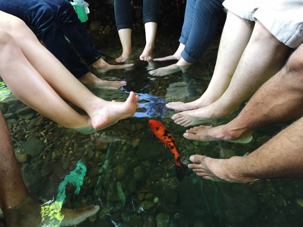 istock Low Section Of People In Lake 903988554