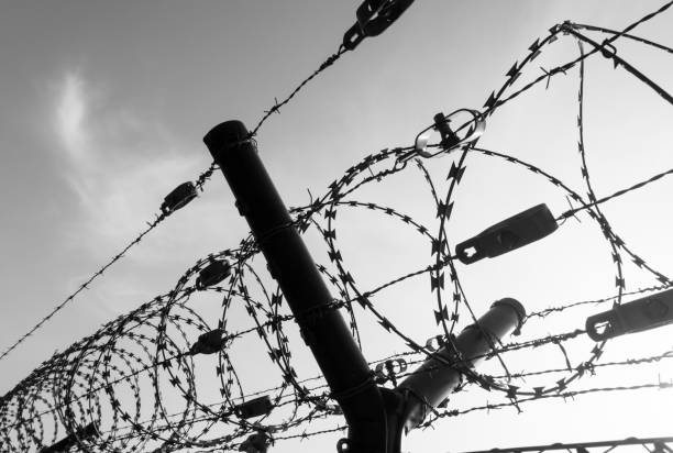 istock Low Angle View Of Barbed Wire Against Sky 903989710
