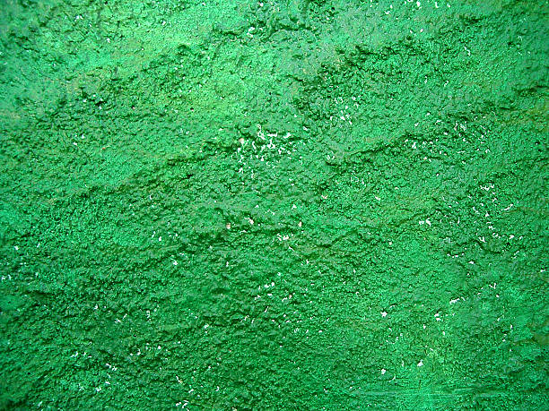 Green Wall stock photo