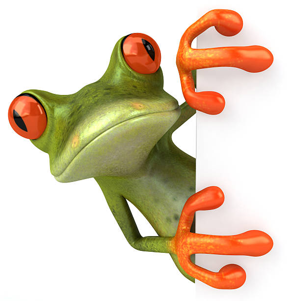 Frog isolated 3d render