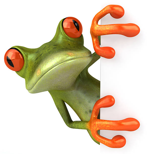 A green frog with orange eyes and hands holding a blank sign stock photo