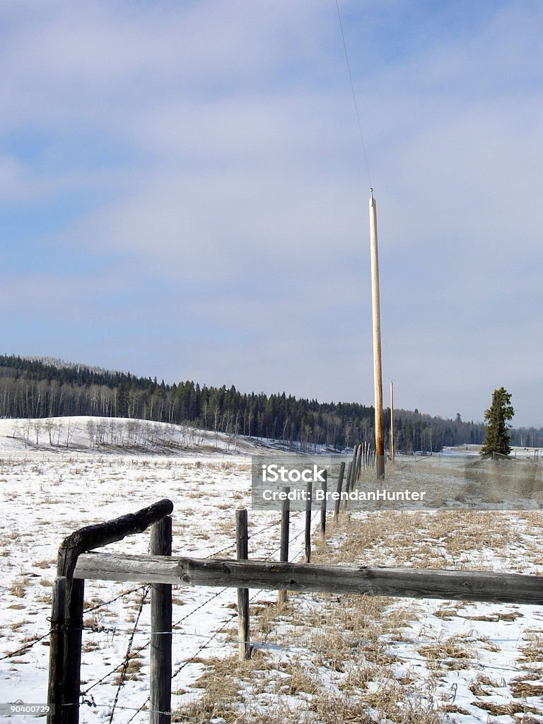 Neve telefone vara - Foto de stock de Alberta royalty-free