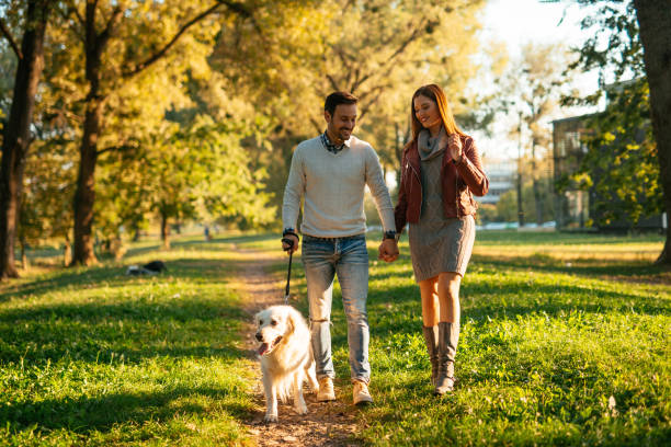 istock Enjoying a walk in the park 904007972