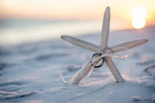 Photo of Wedding Rings tied to a Starfish Stuck in the Sand on the Beach with the Sunset in the Background