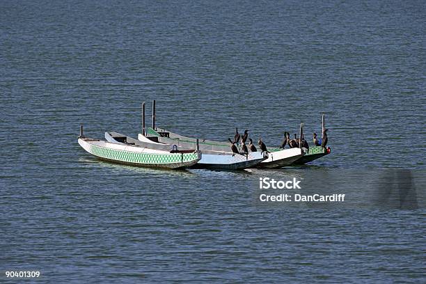 Row Boote Stockfoto und mehr Bilder von Aquatisches Lebewesen - Aquatisches Lebewesen, Blau, Farbbild