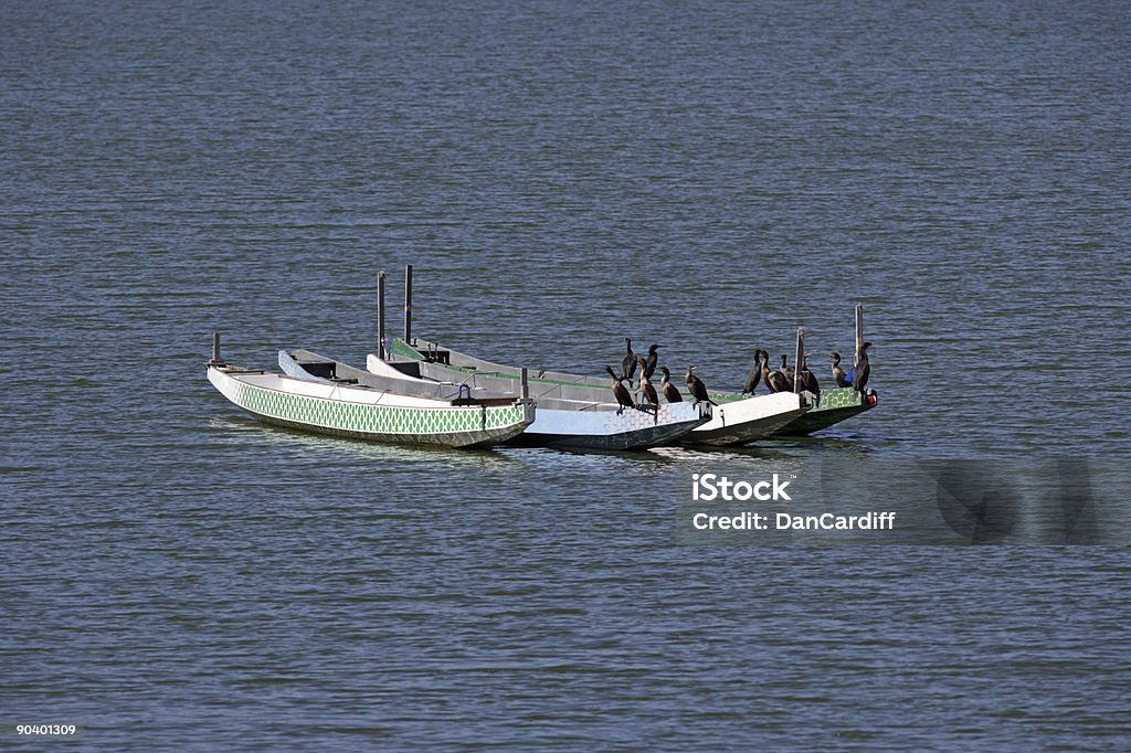 Fila de barcos - Foto de stock de Agua libre de derechos