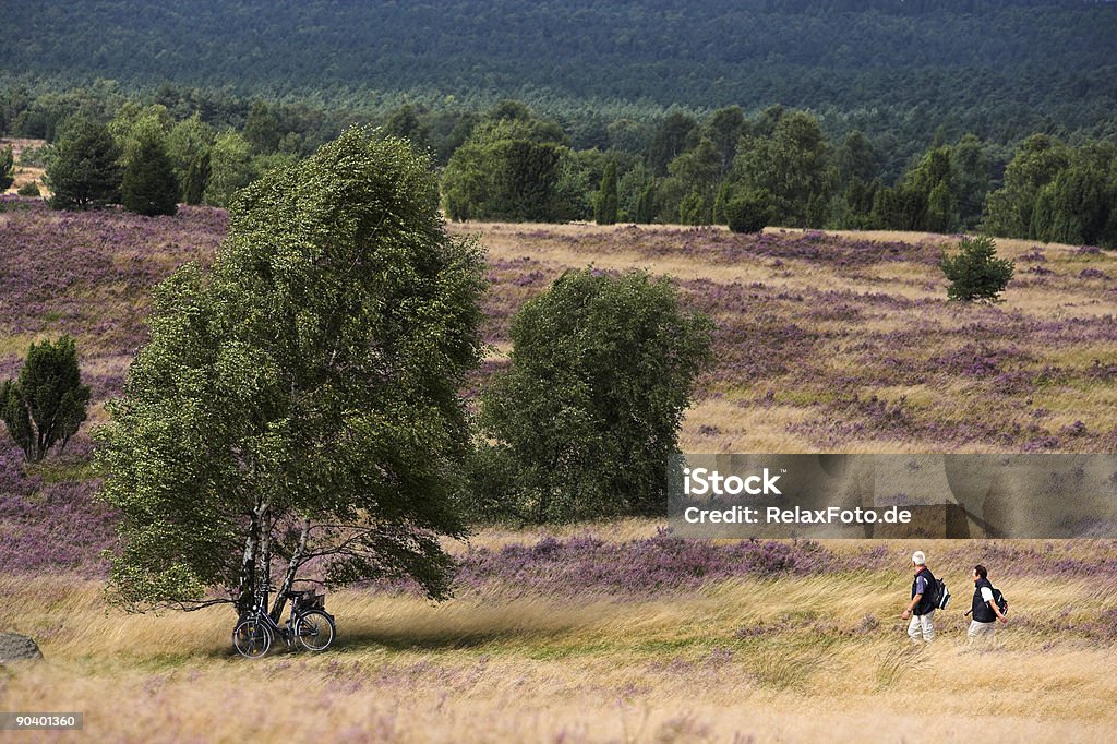 Senior couple marchant sur de superbes landes (XXL - Photo de Landes écossaises libre de droits