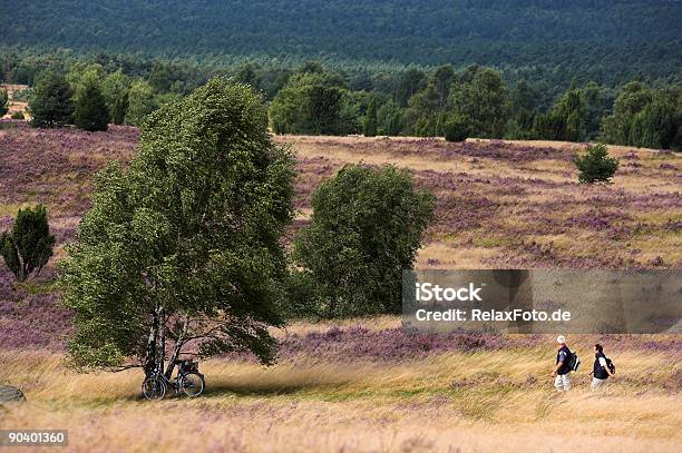 Photo libre de droit de Senior Couple Marchant Sur De Superbes Landes Xxl banque d'images et plus d'images libres de droit de Landes écossaises - Landes écossaises, Lunebourg, Lüneburger Heide