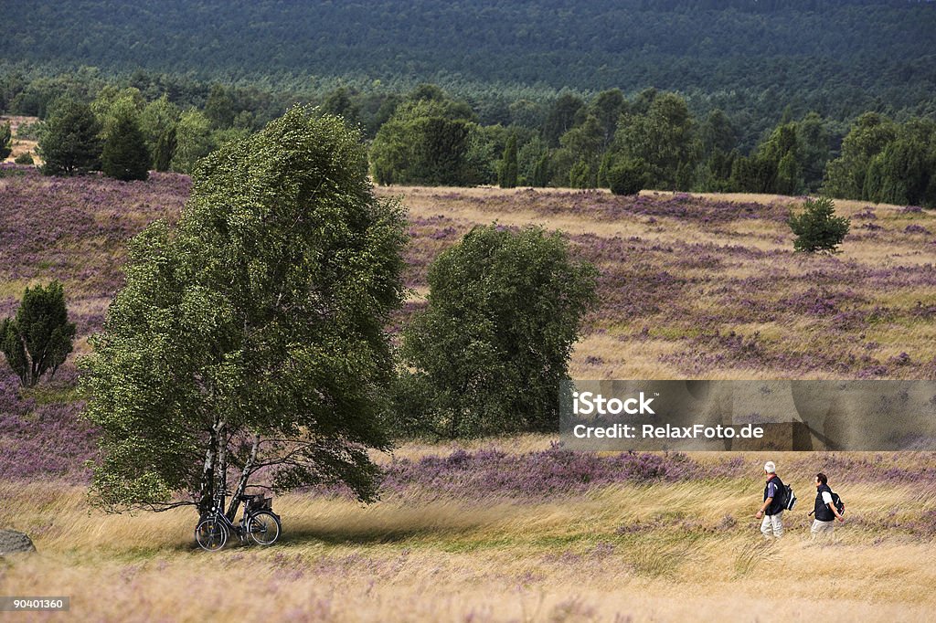 Пожилая пара ходить на красивый heathland (XXL - Стоковые фото Люнебург роялти-фри