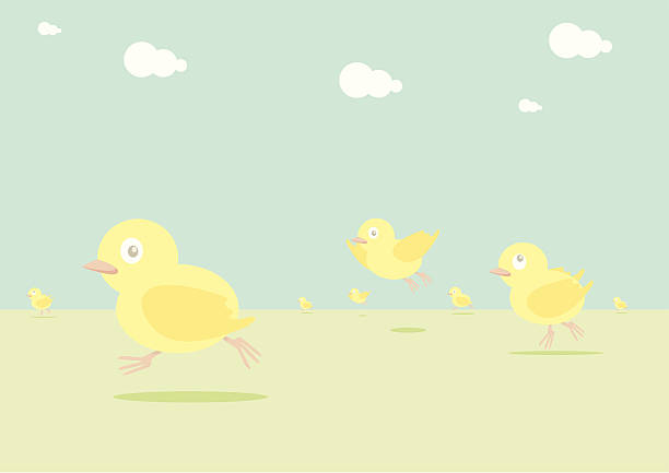 행복함 부활제 - animal egg chicken new cracked stock illustrations