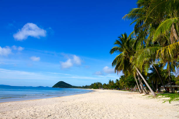 beach Thung Wua Lan Beach, beautiful with coconut