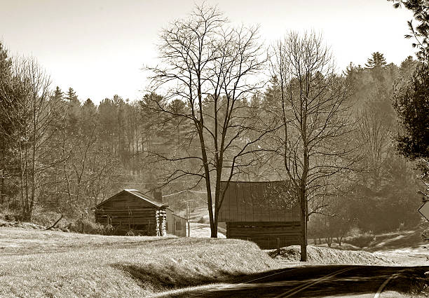 istock smokey mountain morning in sepia 90402059