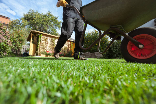 Man pushing wheelbarrow over grass Man pushing wheelbarrow over green grass in backyard; low angle view; obscured face; real people; wheelbarrow stock pictures, royalty-free photos & images