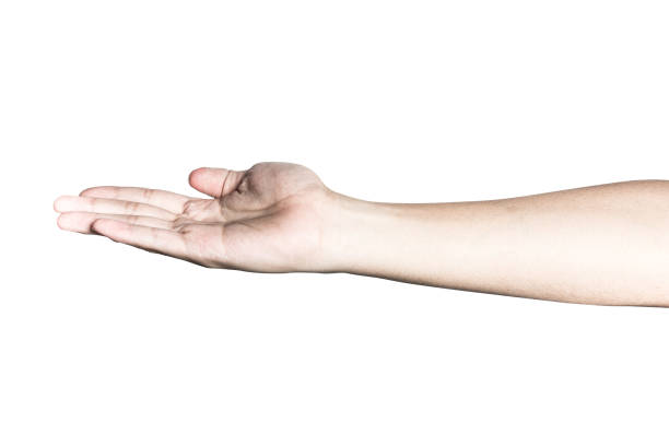 istock beautiful  hand isolated on white background 904022568
