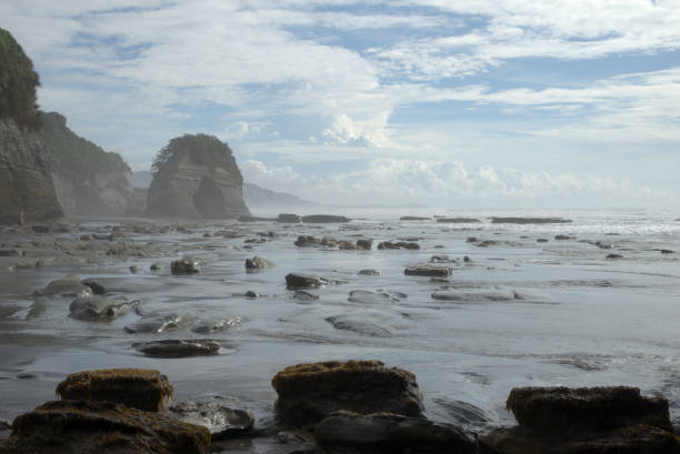 Elephant Rock in ocean fog
