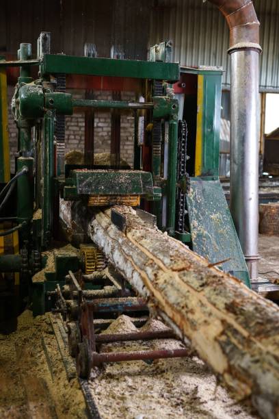 istock Image of timber machining at sawmill 904025062