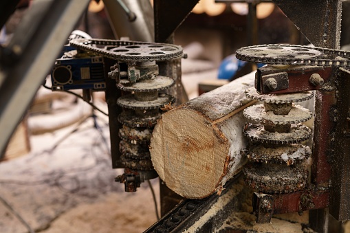 Image of machine for sawing wood at sawmill, close-up