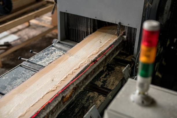 istock At sawmill. Image of sawing wood with laser marks 904025530