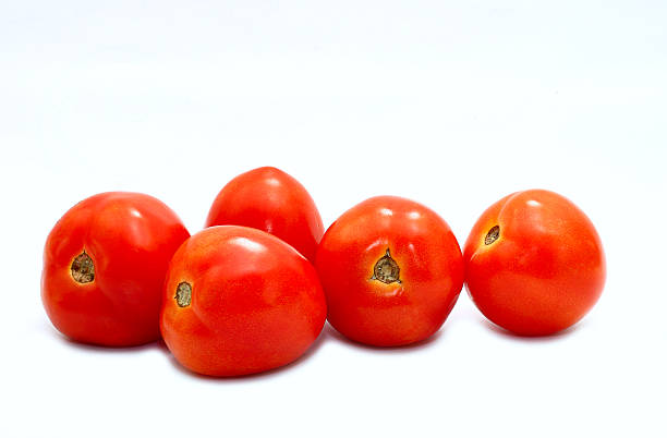 De tomate - foto de acervo