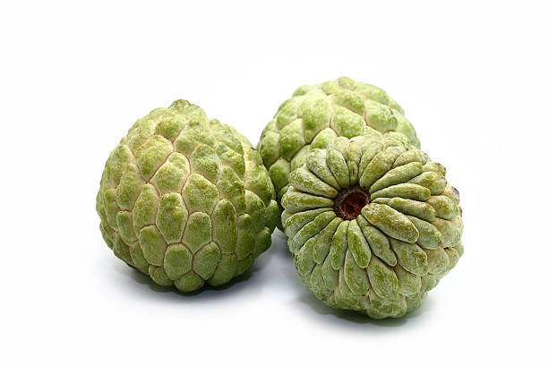 sweet sop stock photo